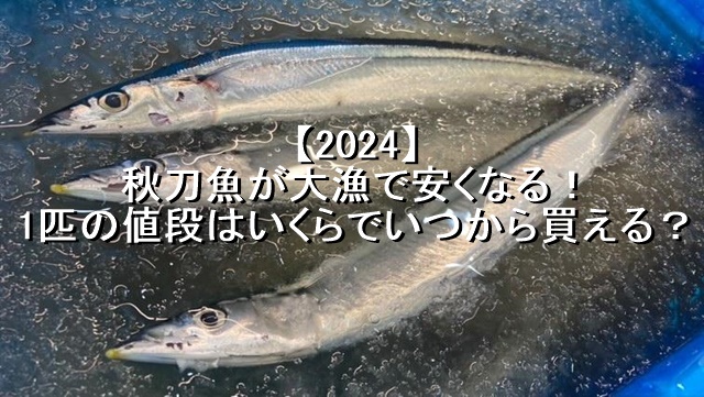 2024秋刀魚